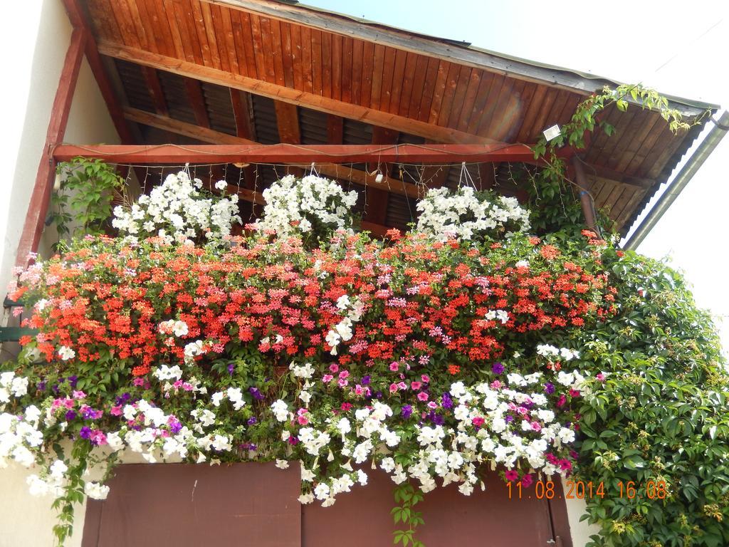 Ukrainochka Hotel Slavske Exterior photo